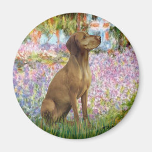 Imán Jardín - Vizsla 1