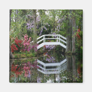 Imán Jardines de la magnolia, S.C.