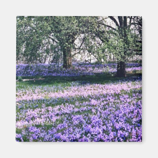 Imán Jardines de madera en primavera