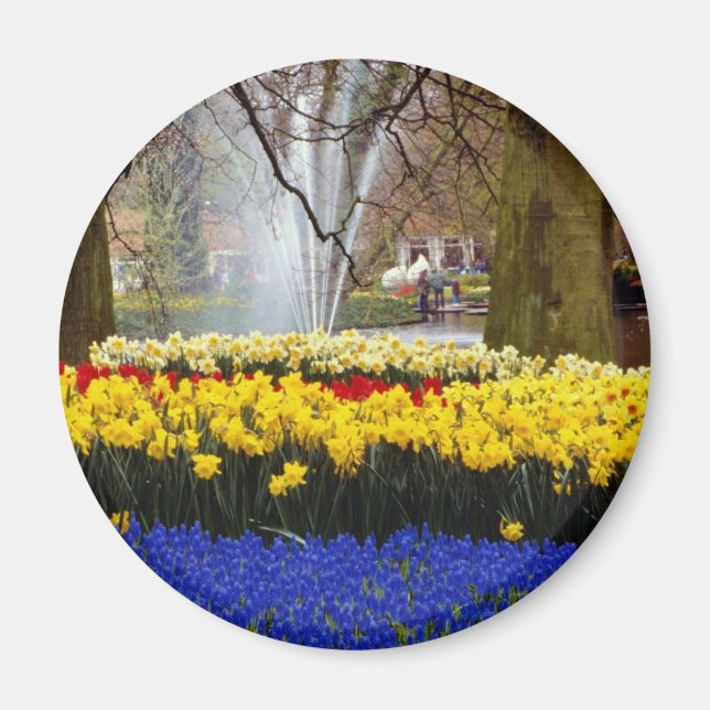 Imán jardines del Keukenhof amarillo, Amsterdam, Países (Frente)