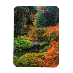 Imán Jardines Japoneses En Otoño En Portland, Oregón 5