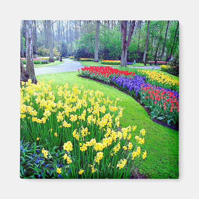 IMÁN JARDINES KEUKENHOF, HOLANDA LISSE (Frente)