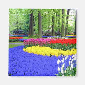 IMÁN JARDINES KEUKENHOF, HOLANDA LISSE