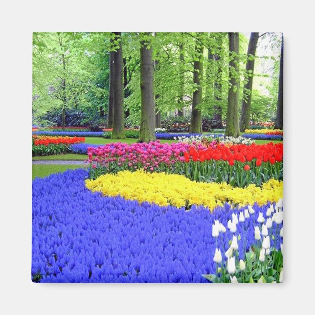 IMÁN JARDINES KEUKENHOF, HOLANDA LISSE (Frente)