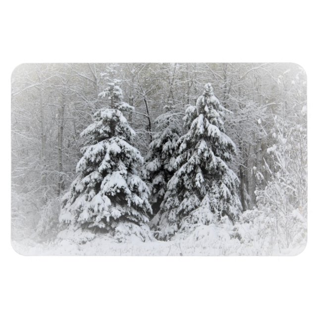 Imán Jardines perennes del río Oso. Minnesota del Norte (Horizontal)