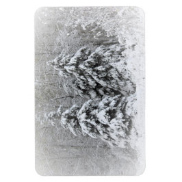 Imán Jardines perennes del río Oso. Minnesota del Norte