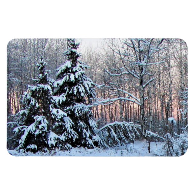 Imán Jardines perennes del río Oso. Minnesota del Norte (Horizontal)