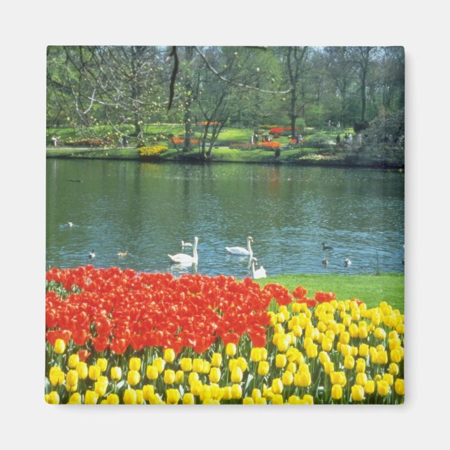 Imán Jardines Red Keukenhof, flores de Holanda (Frente)