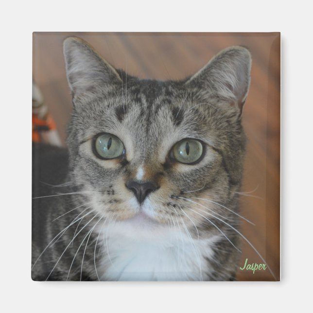 Imán Jasper (Frente)