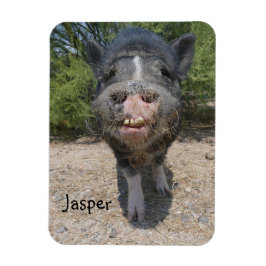 Imán Jasper Magnet