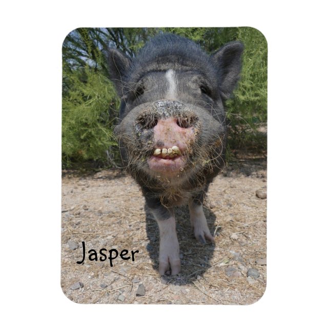 Imán Jasper Magnet (Vertical)