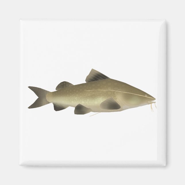 Imán Jaú Catfish (Frente)