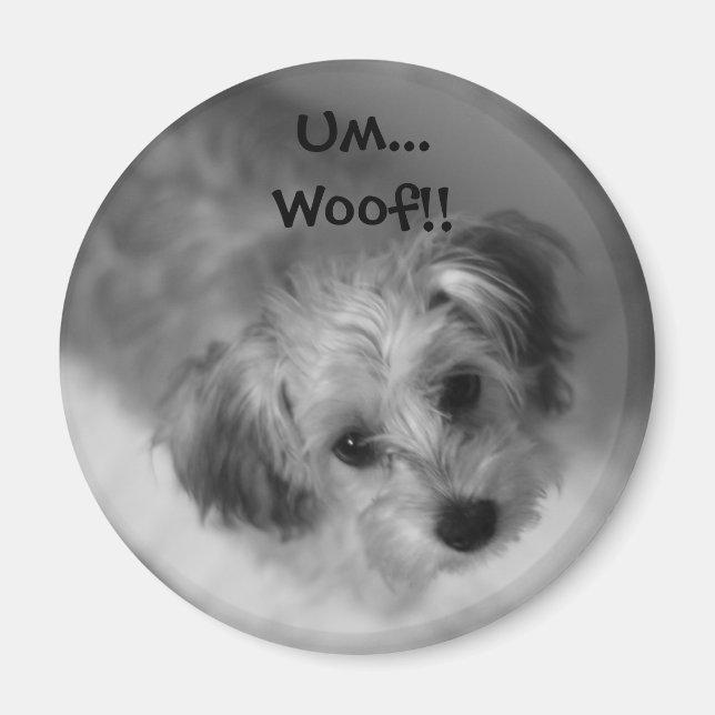 Imán Jazzie Magnet (Frente)