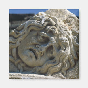 Imán Jefe de la medusa