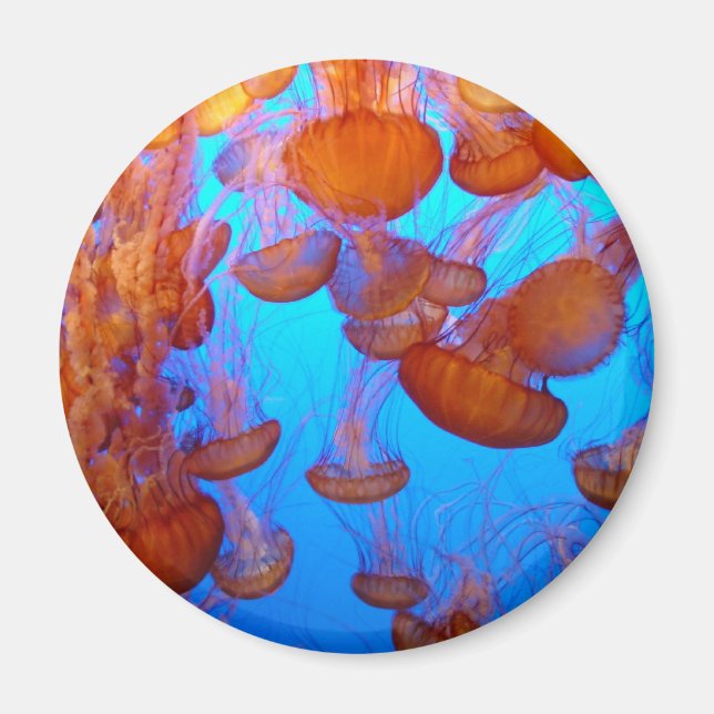 Imán Jellies Pile-Up Magnet (Frente)