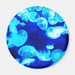 Imán Jellyfish