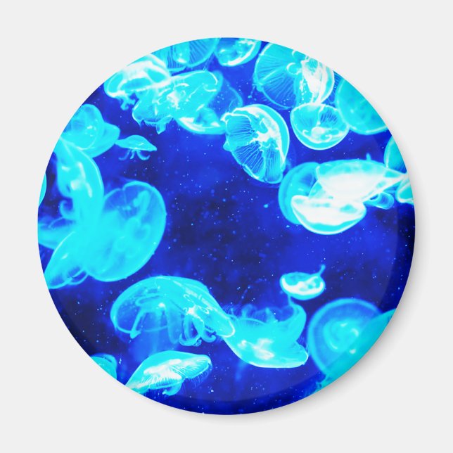 Imán Jellyfish (Frente)