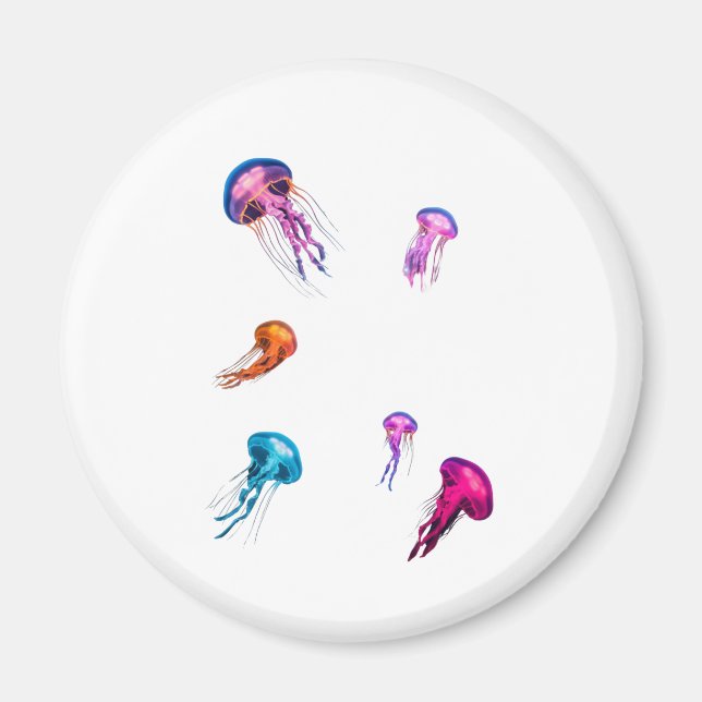 Imán jellyfish magnet (Frente)