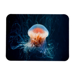 Imán Jellyfish Subacuático - Brillo oscuro