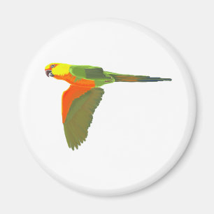 Imán Jenday Conure