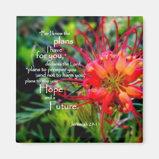 Imán Jeremías 29:11 A Hope and a Future