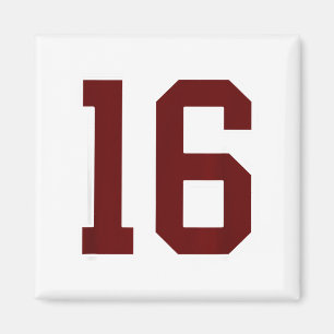 Imán Jersey del jugador número 16 marrón y blanco #