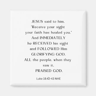 IMÁN JESUS RECIBE TU MAGNET DE VISTA