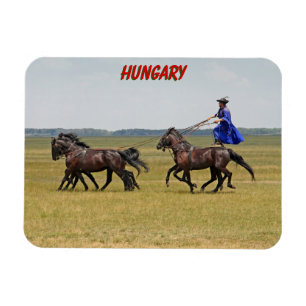 Imán Jinetes de Hungría y caballos