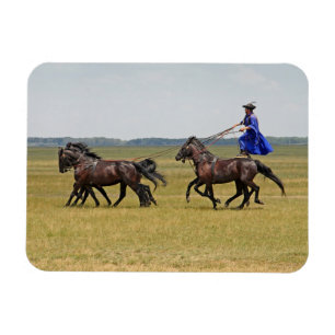 Imán Jinetes de Hungría y caballos
