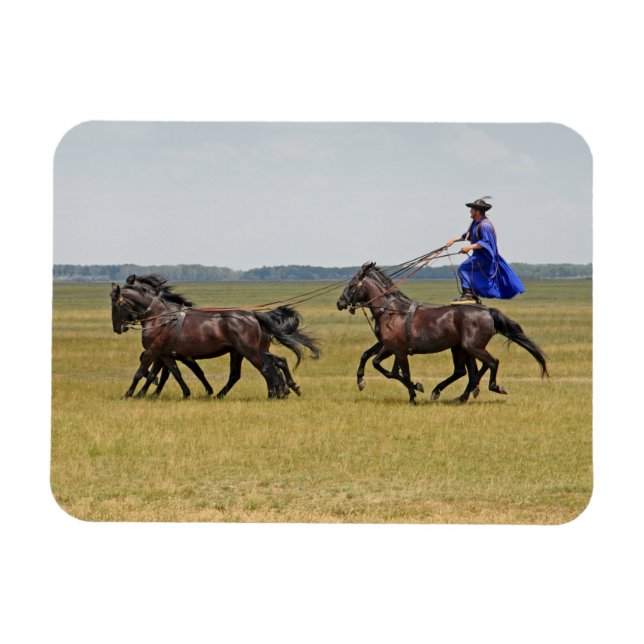 Imán Jinetes de Hungría y caballos (Horizontal)
