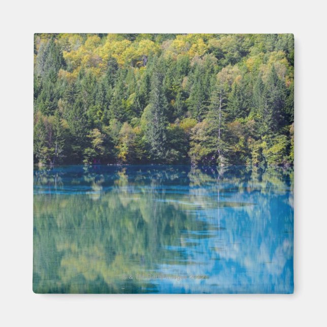 Imán Jiuzhaigou (Frente)