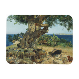 Imán Joaquín Sorolla - el árbol de algarroba