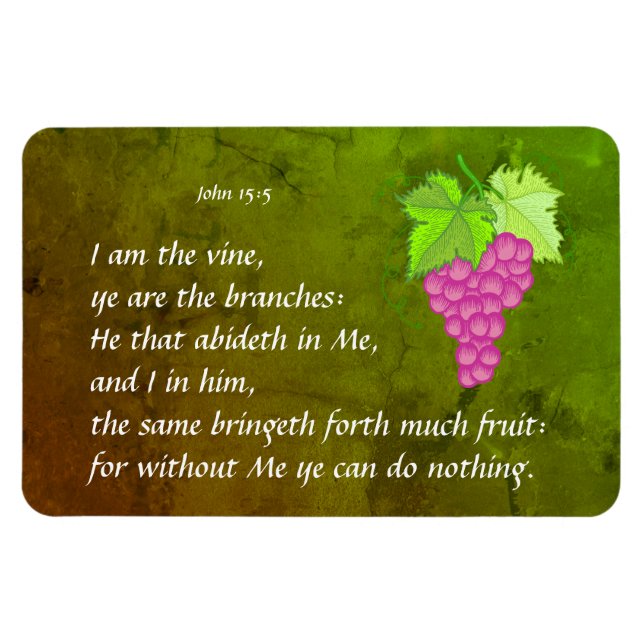 Imán John 15:5 (Horizontal)