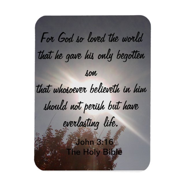 Imán John 3:16 Magnet (Vertical)