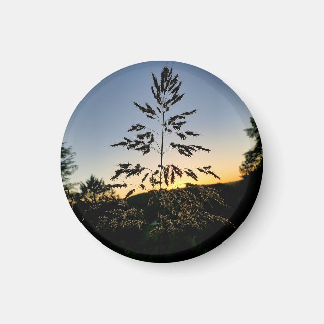 Imán Johnson Grass (Frente)