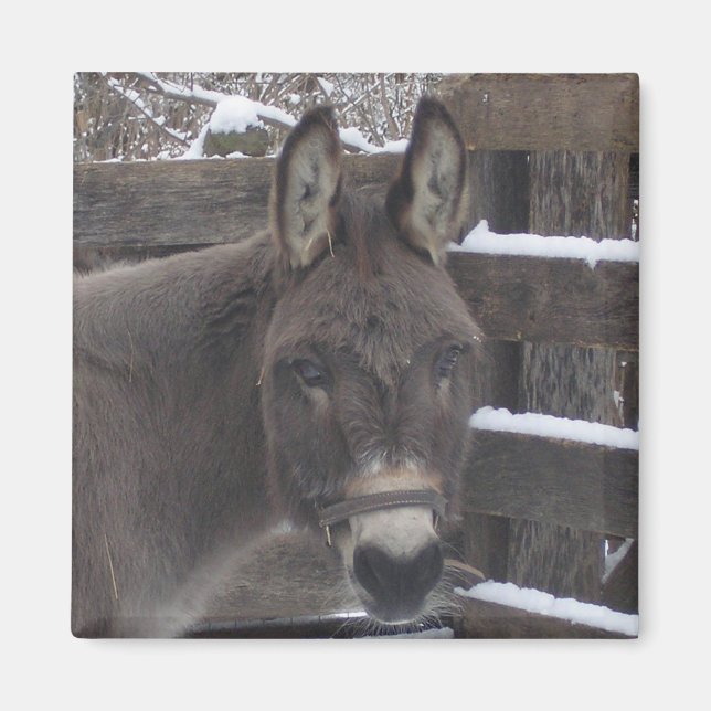 Imán Jonathan (Frente)