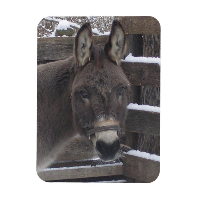 Imán "Jonathan" (Vertical)