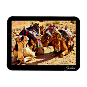 Imán Jordania