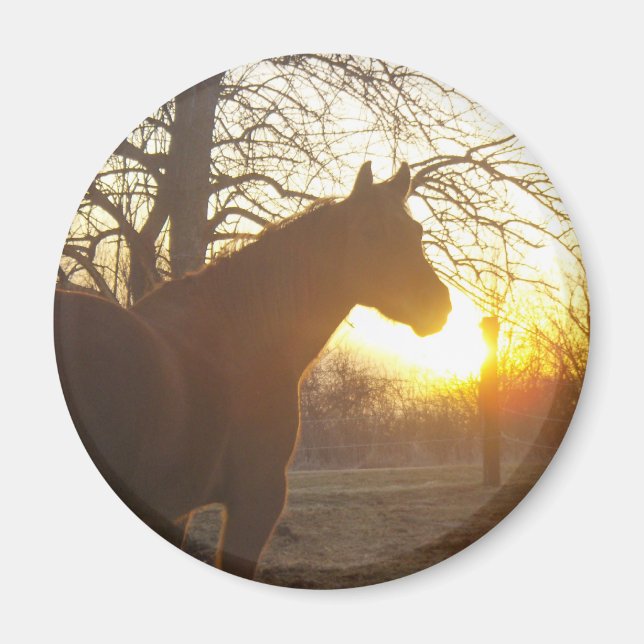 Imán Jose benito (Frente)