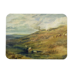 Imán José Mallord Guillermo Turner el   Dartmoor: El
