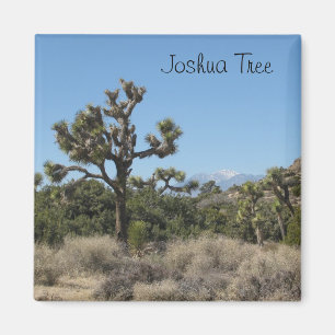 Imán Joshua Tree View