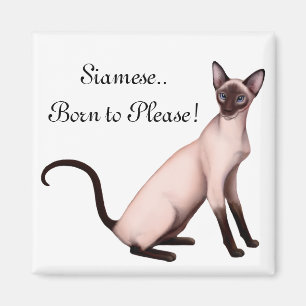 Imán joven amistoso del personalizable del gato