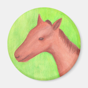 Imán Joven caballo, poni, en acuarela Magnet