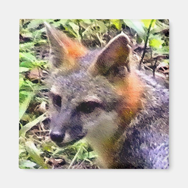 IMÁN JOVEN FOX (Frente)