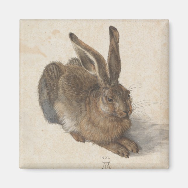 Imán Joven liebre de Albrecht Durer (Frente)