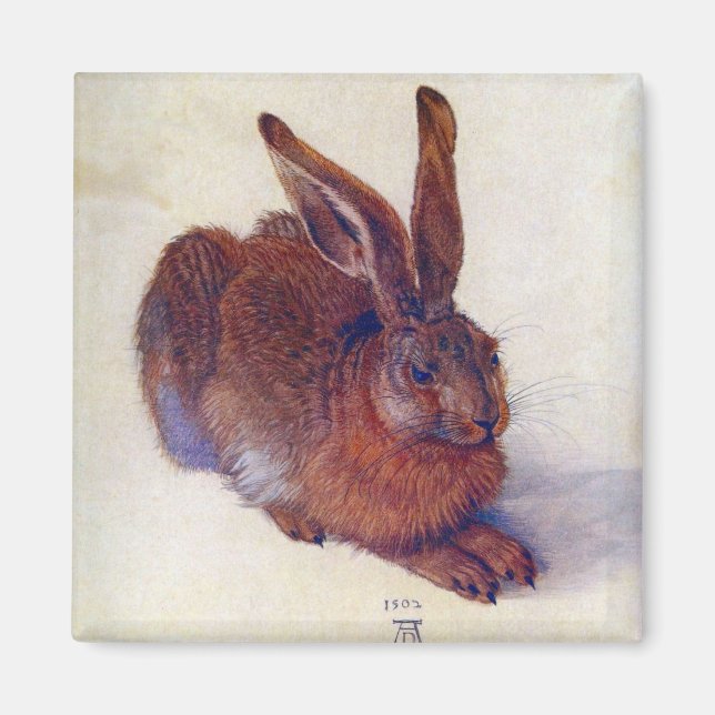 Imán Joven liebre de Albrecht Durer, Bella Artes del Re (Frente)