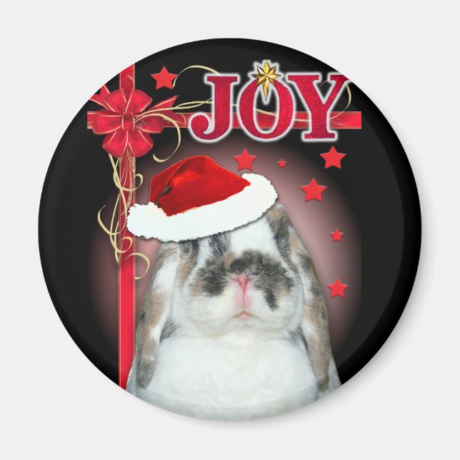 Imán Joy Xmas Magnet (Frente)