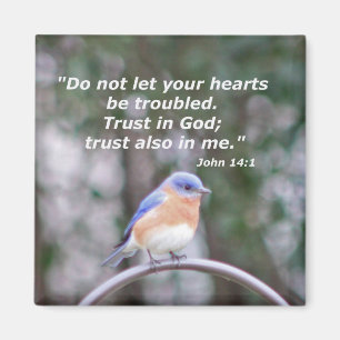 Imán Juan 14:1