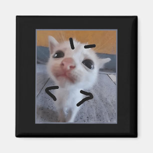 Imán Judgy Kitty Funny Cat Lover Angry Kitten Meme Cute