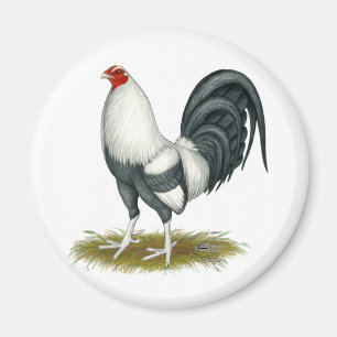 Imán Juego americano Silver Blue Gamecock